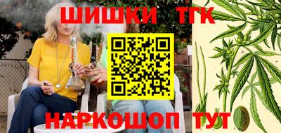 тгк Можга